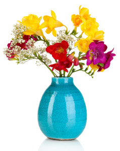 Beautiful bouquet of freesia in blue vase isolated on white