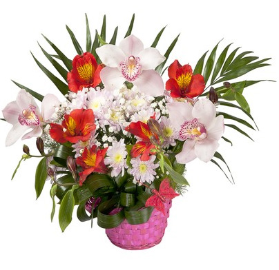 basket of alstromerias and orchids