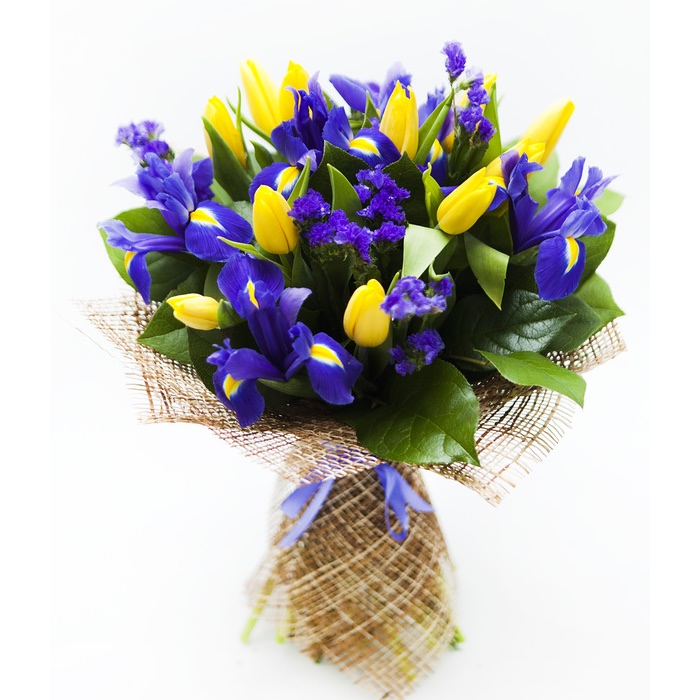 iris blue and yellow tulips