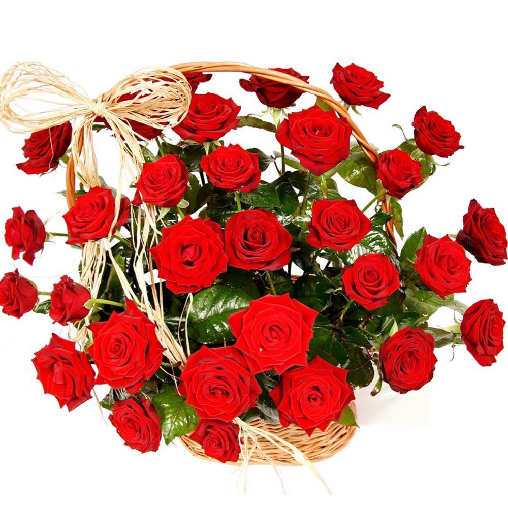 basket 36 red roses