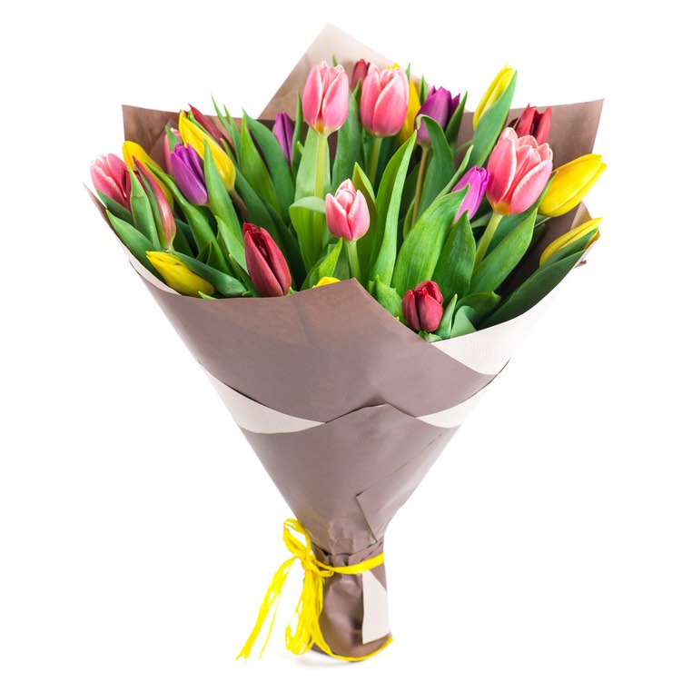 tulipani assortiti