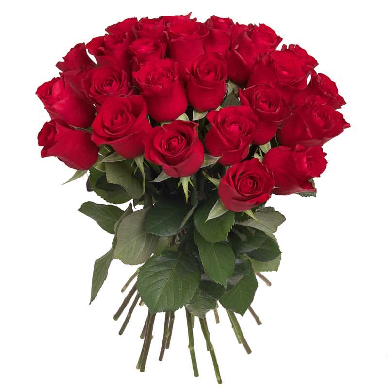 33 red roses