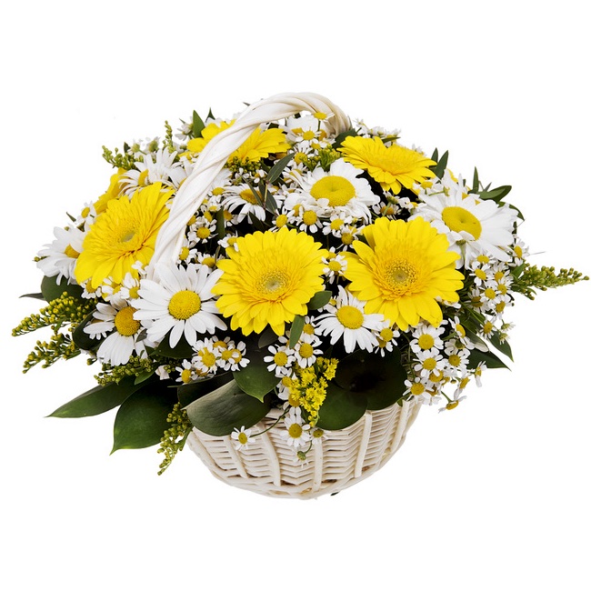 yellow and white basket