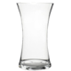 Glass Vase (the shape may vary)