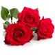 3 rose rosse