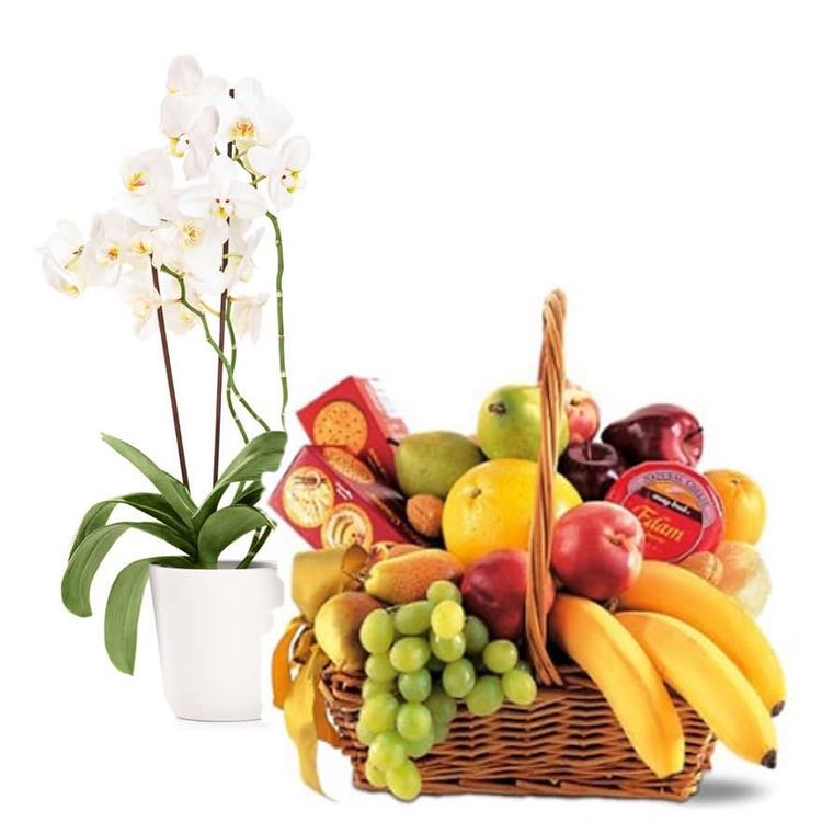 fruits and orchid