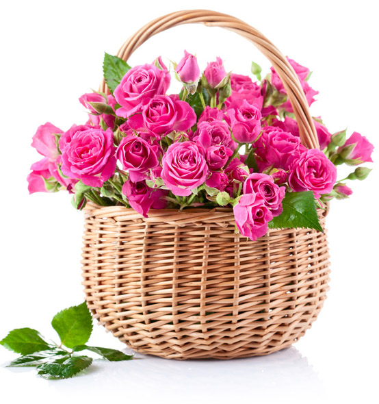 pink roses basket