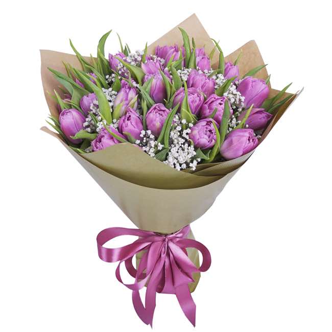 purple tulips and gypsophila