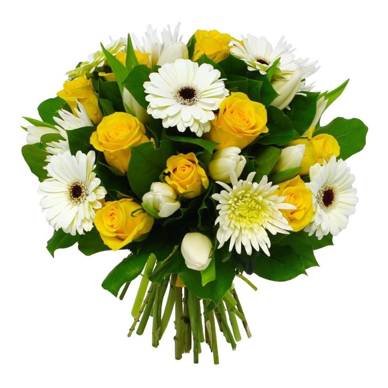 white tulips gerberas and roses